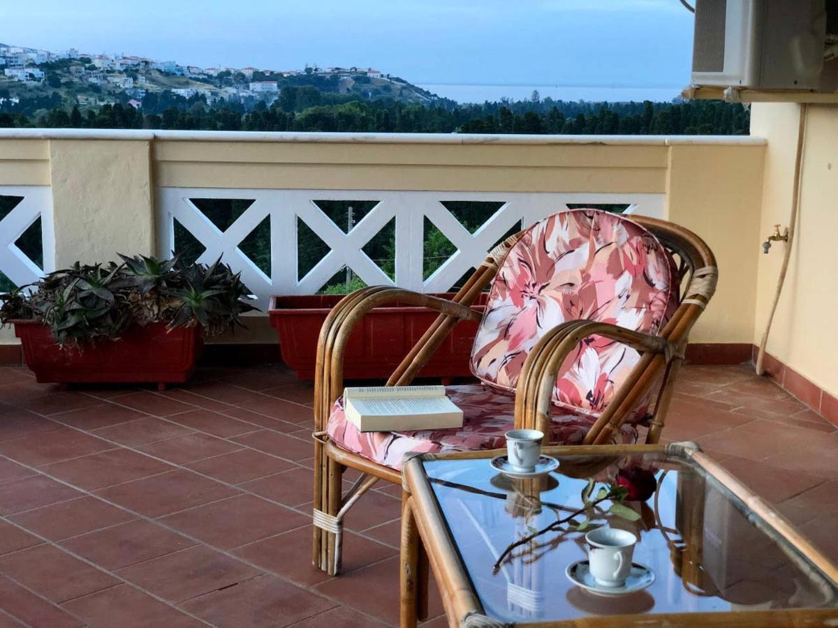 Villa Andros Epoque Livádhia Екстериор снимка