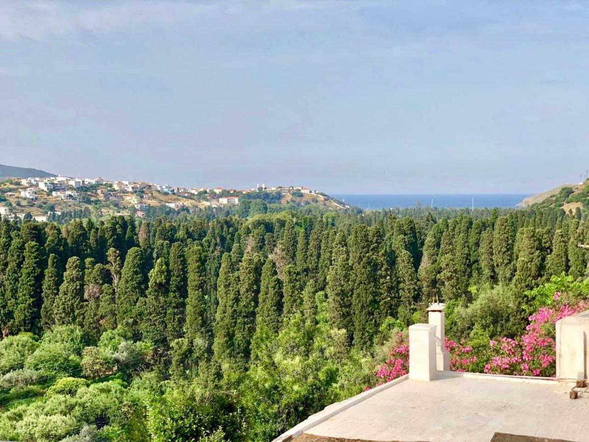 Villa Andros Epoque Livádhia Екстериор снимка