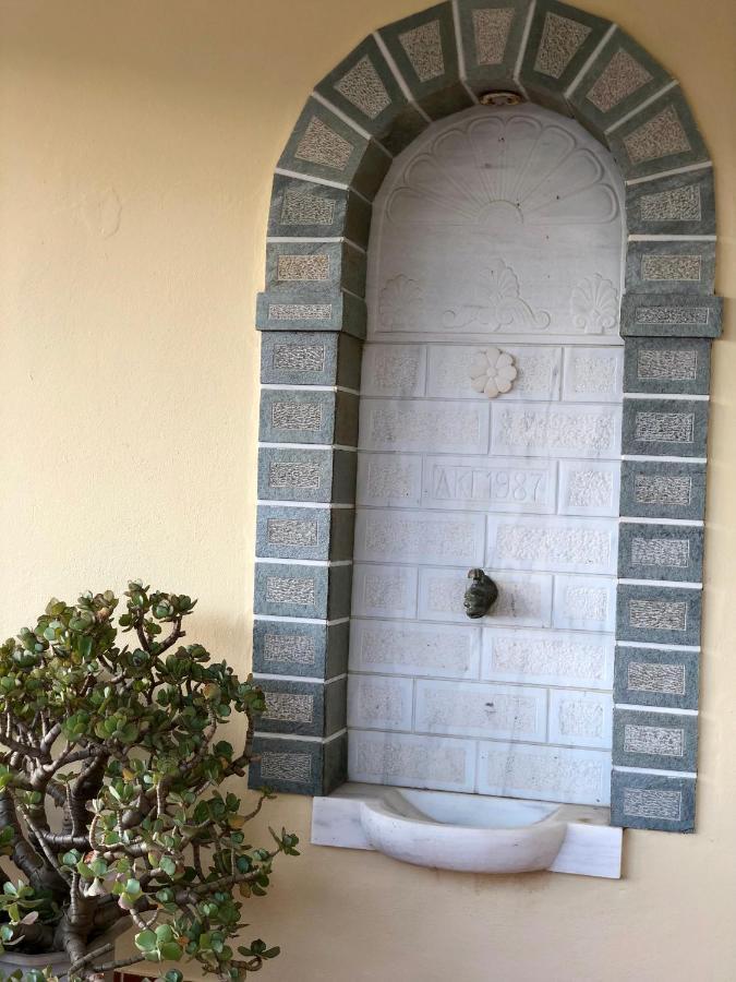 Villa Andros Epoque Livádhia Екстериор снимка